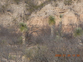 desert near Benson Airport (E95)