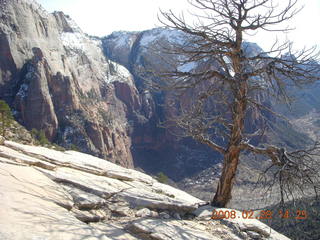 65 6eu. Zion National Park - Angels Landing hike