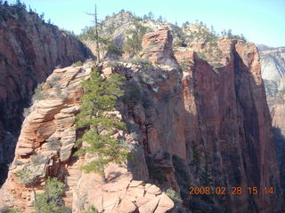 82 6eu. Zion National Park - Angels Landing hike