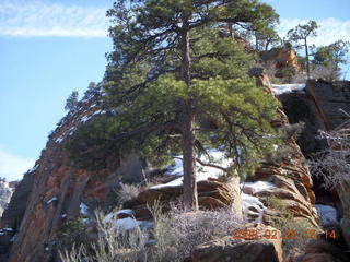 83 6eu. Zion National Park - Angels Landing hike