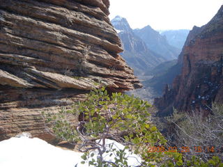 84 6eu. Zion National Park - Angels Landing hike