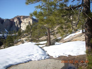 124 6eu. Zion National Park - west rim hike