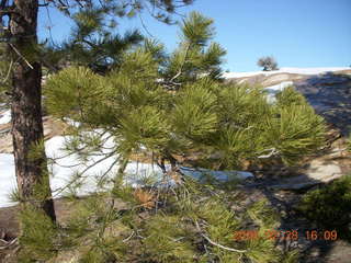 125 6eu. Zion National Park - west rim hike