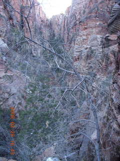 153 6eu. Zion National Park - Angels Landing hike