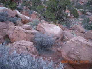 12 6f1. Zion National Park - Watchman hike - rocks on loop trail