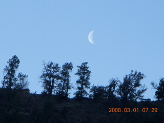 24 6f1. Zion National Park - Watchman hike - moon over trees