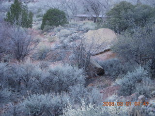 56 6f1. Zion National Park - Watchman hike - mule deer gone now