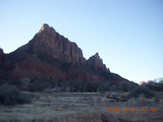 Zion National Park - Watchman hike - mule deer