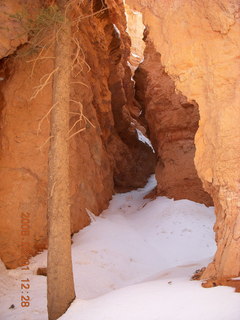 233 6f1. Bryce Canyon - Navajo Loop hike