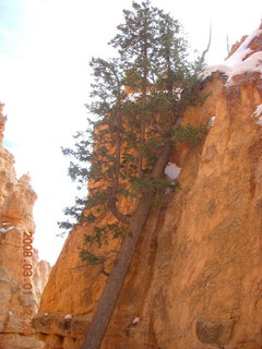 Bryce Canyon - Navajo Loop hike