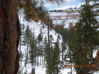 241 6f1. Bryce Canyon