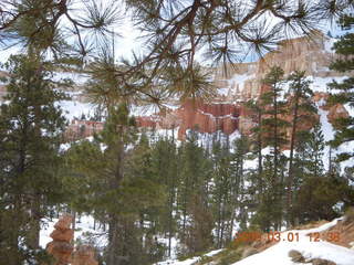 242 6f1. Bryce Canyon