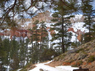 243 6f1. Bryce Canyon