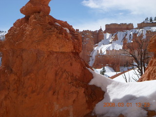 260 6f1. Bryce Canyon - Queens Garden hike