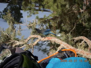 300 6f1. Bryce Canyon - bluebird and my foot