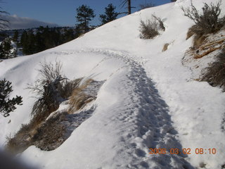 88 6f2. Bryce Canyon - Fairyland/Rim hike