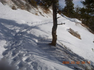 89 6f2. Bryce Canyon - Fairyland/Rim hike