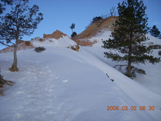 94 6f2. Bryce Canyon - Fairyland/Rim hike