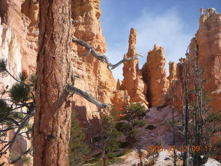 114 6f2. Bryce Canyon - Queens Garden hike