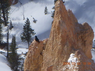 144 6f2. Bryce Canyon - Queens Garden hike