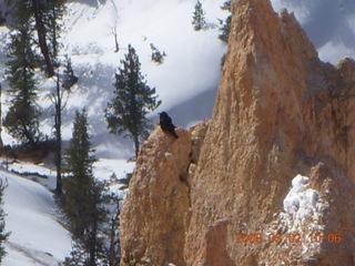 145 6f2. Bryce Canyon - Queens Garden hike