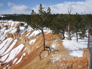 152 6f2. Bryce Canyon - Queens Garden hike