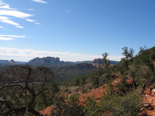 Chinese pineapple-cake snack label