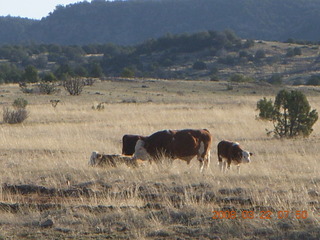 Chapman Ranch Airport