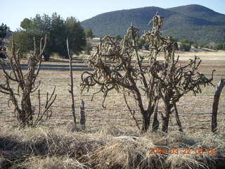 Chapman Ranch run
