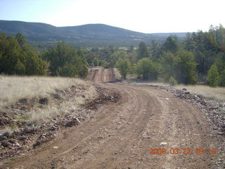 Chapman Ranch run