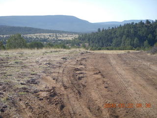 Chapman Ranch run