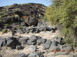 8 6gs. Snow Canyon - Butterfly trail - lava