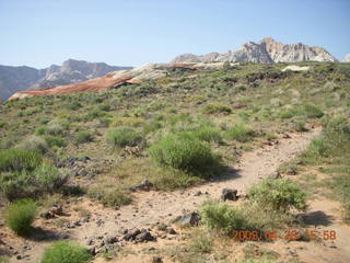 10 6gs. Snow Canyon - Butterfly trail