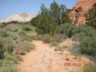 18 6gt. Snow Canyon - Butterfly trail