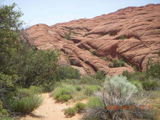 20 6gt. Snow Canyon - Butterfly trail