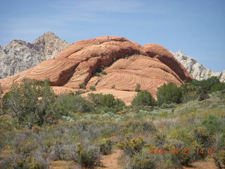 32 6gt. Snow Canyon - Butterfly trail