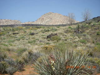 33 6gt. Snow Canyon - Butterfly trail