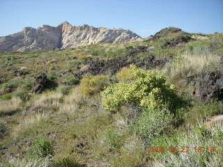 38 6gt. Snow Canyon - Butterfly trail