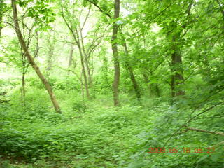 spring in Tookany Creek Park