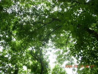 spring in Tookany Creek Park