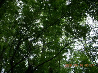 spring in Tookany Creek Park