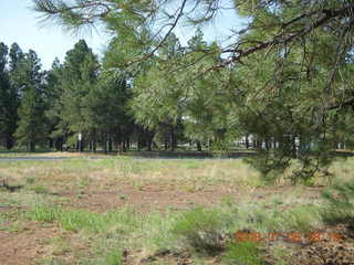 Adam at sunrise flying to Flagstaff in N4372J