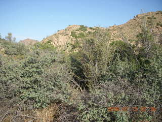 Bagdad run