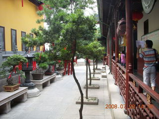 93 6ku. eclipse - Shanghai - Buddhist Temple