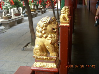 108 6ku. eclipse - Shanghai - Buddhist Temple