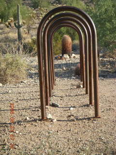 Lost Dog Wash - horse hitch