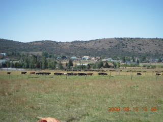 on the way to Pine Valley, Utah