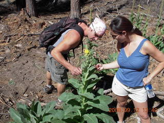Dustin and Marcelle hiking at Pine Valley, Utah