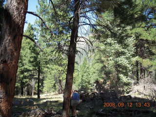 hiking at Pine Valley, Utah