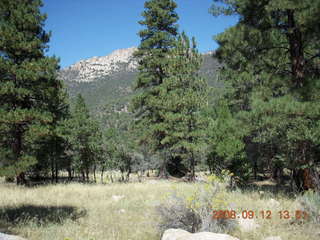 hiking at Pine Valley, Utah